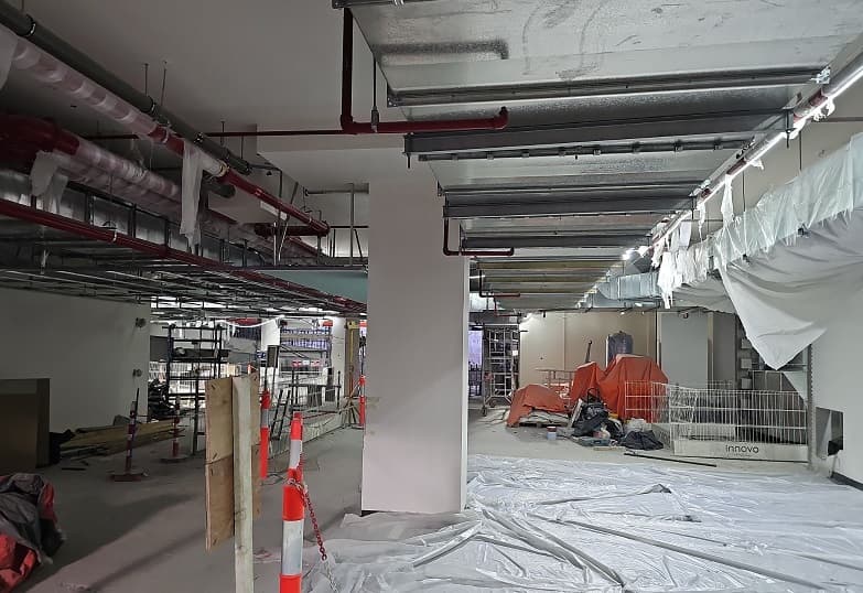 Ava At Palm Jumeirah By Omniyat construction site, Land Department inspection photo 4, 5 December 2024