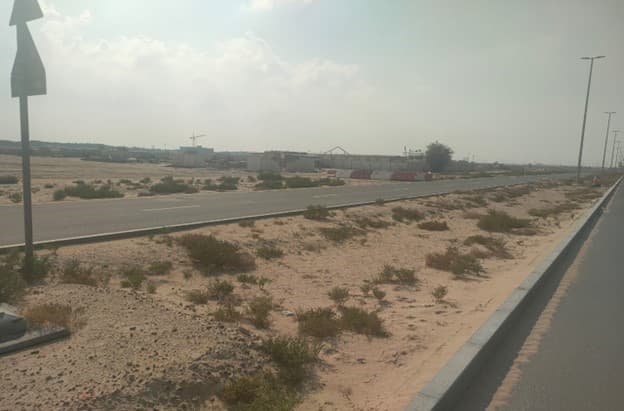 Nad Al Sheba Gardens Phase 4 construction site, Land Department inspection photo 2, 12 February 2024