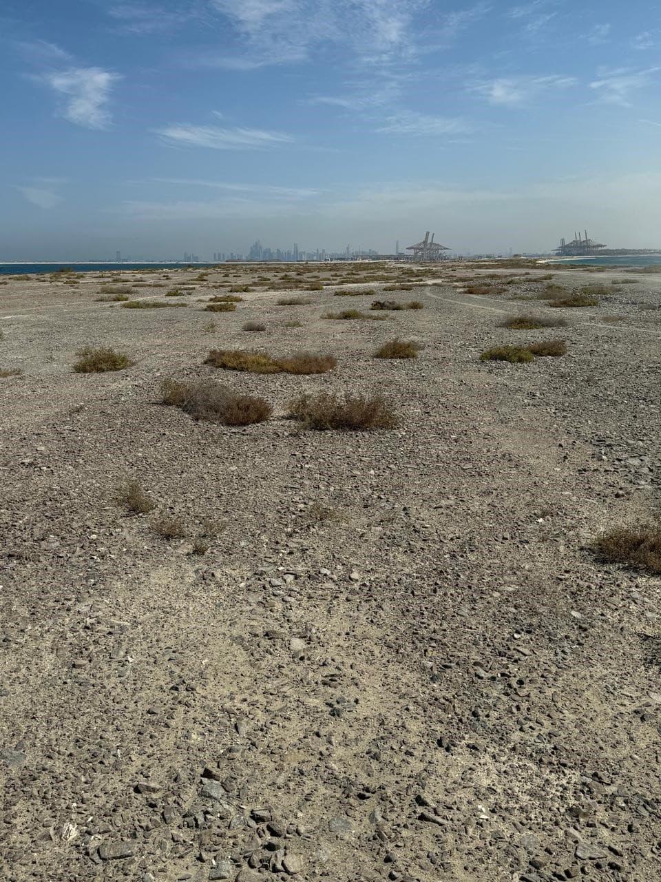 Palm Jebel Ali - Frond E construction site, Land Department inspection photo 2, 23 October 2024