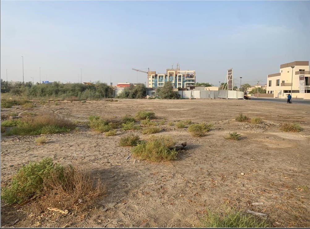Vivid Tower construction site, Land Department inspection photo 1, 11 December 2024