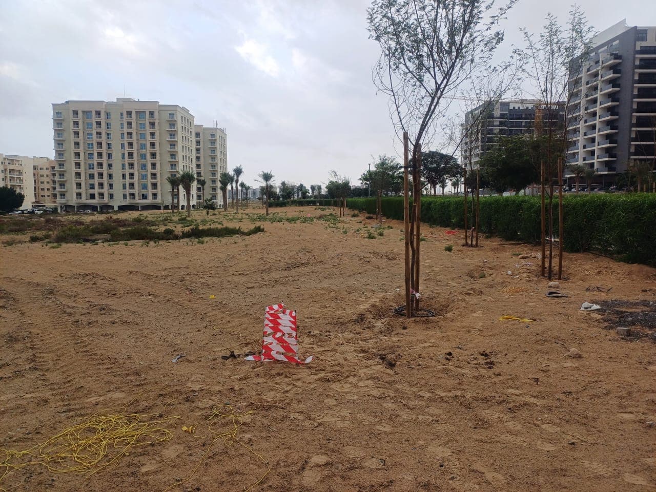 Alma Gardens construction site, Land Department inspection photo 2, 30 December 2024
