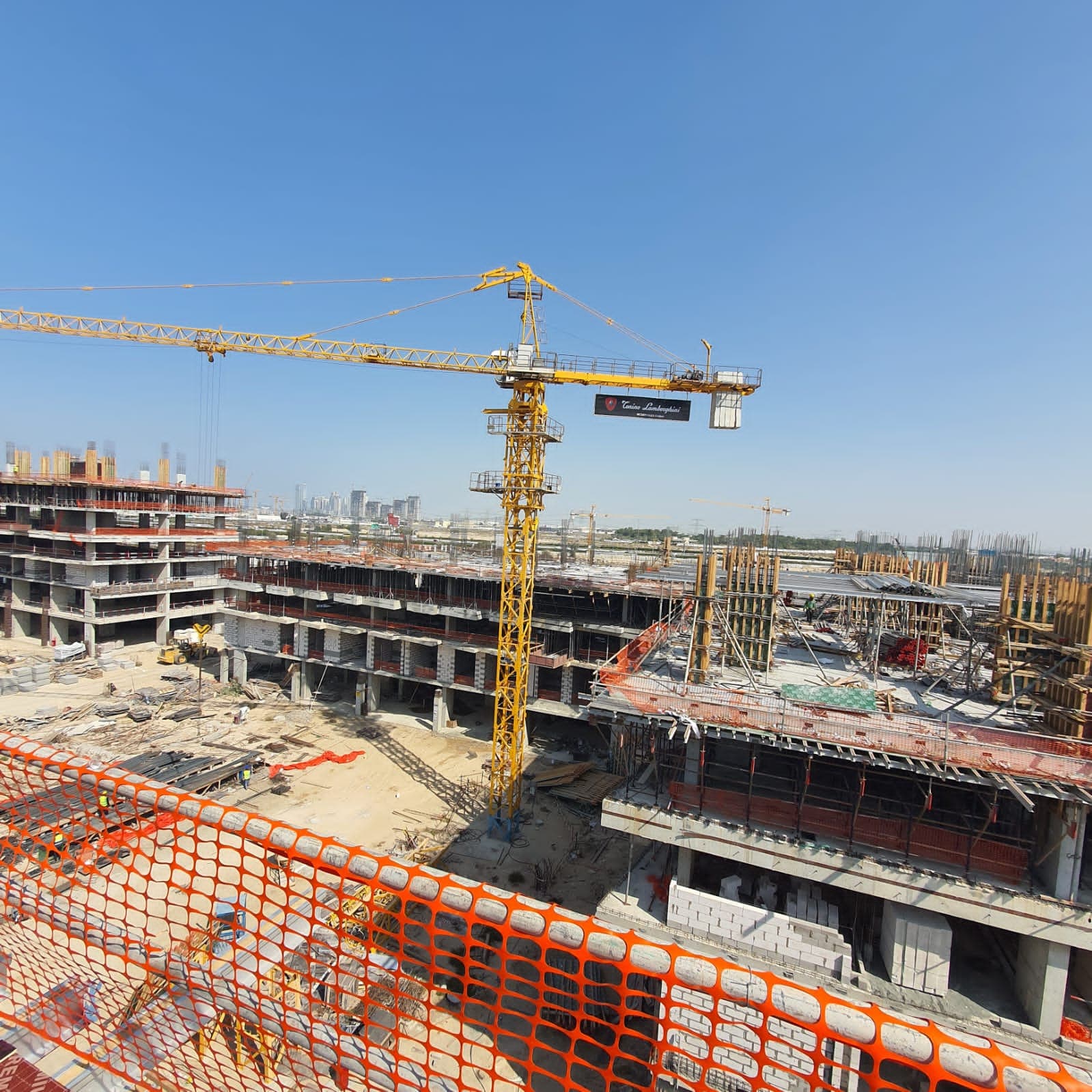 Tonino Lamborghini Residences construction site, Land Department inspection photo 6, 30 January 2025