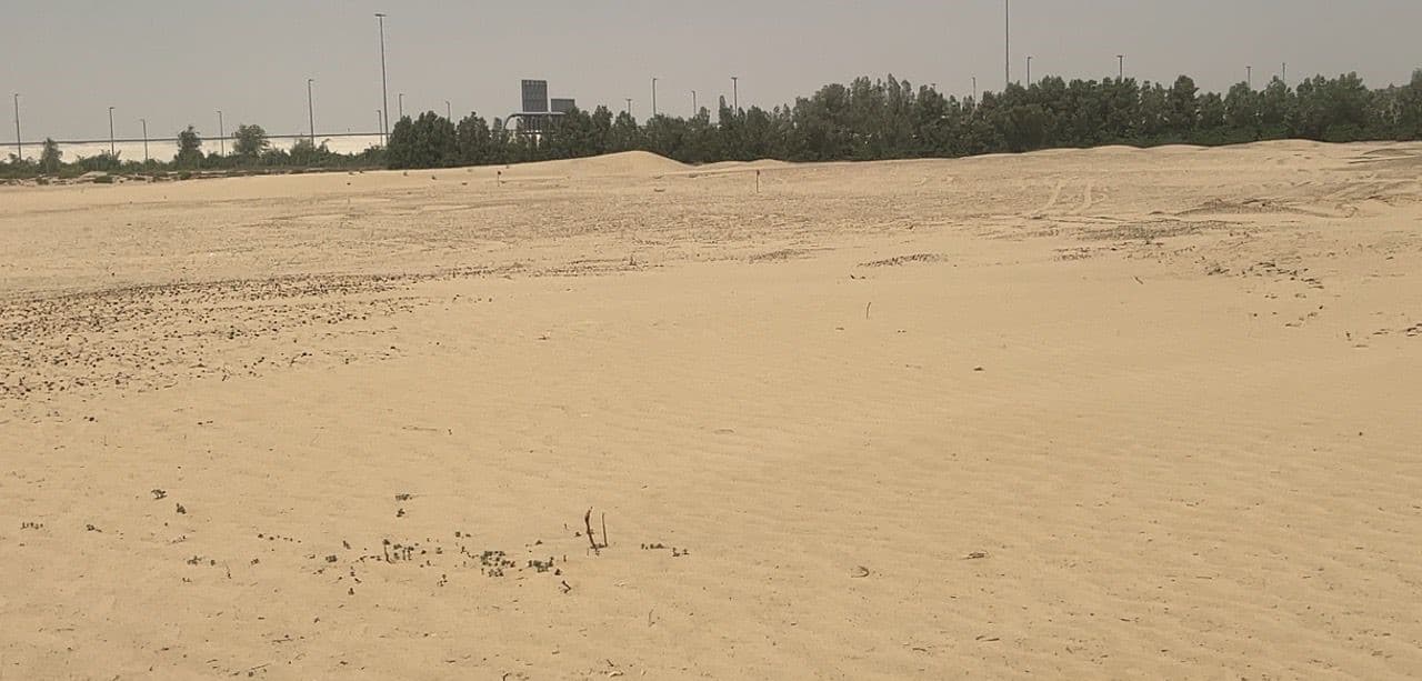 Grand Polo - Selvara 2 construction site, Land Department inspection photo 2, 9 June 2025
