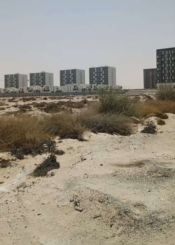 موقع بناء أفينيو 888- مودو، صورة تفتيش الدائرة رقم 1، 24 يونيو 2025