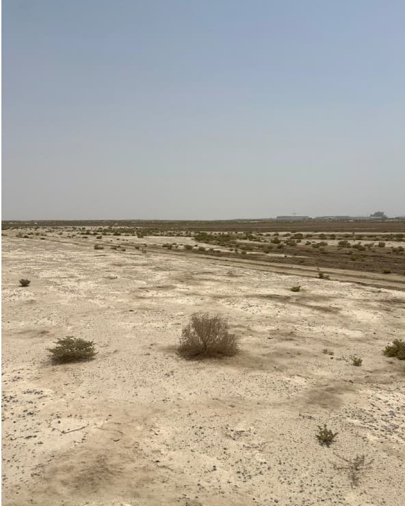 Hayat 4 construction site, Land Department inspection photo 2, 21 August 2025