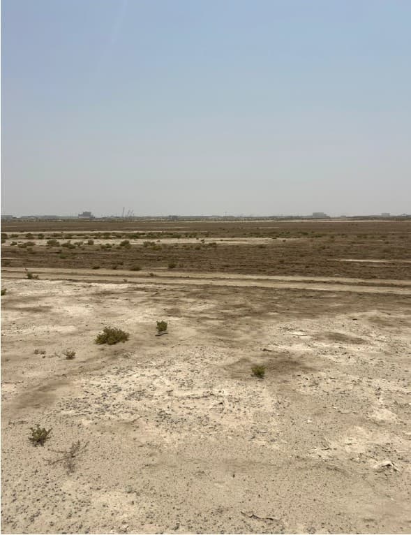 Hayat 4 construction site, Land Department inspection photo 1, 21 August 2025