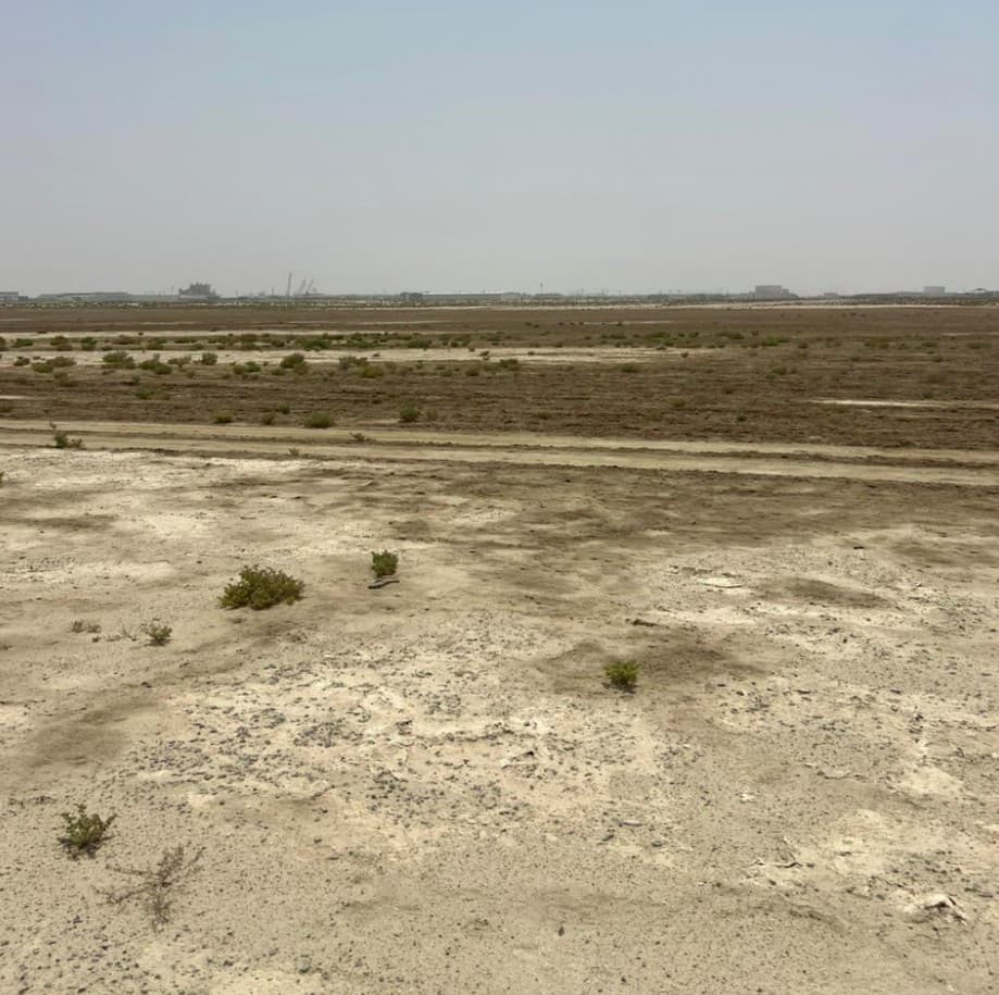 Hayat 4 construction site, Land Department inspection photo 1, 26 March 2026